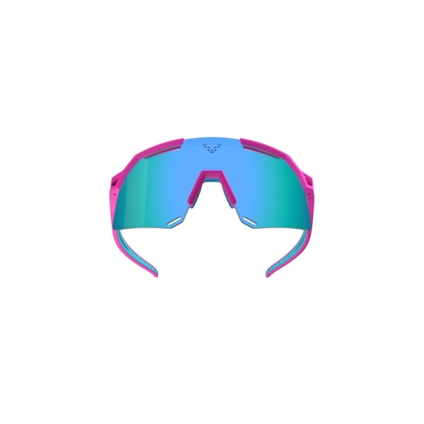 DYNAFIT ULTRA EVO SUNGLASSES P